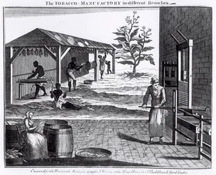 La fábrica de tabaco en diferentes ramas, grabado para la Revista Universal, 1750